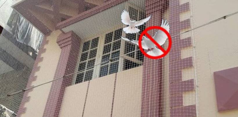 Pigeon Net Installation In Bangalore | Call 8884144406 for Best Quality Net 